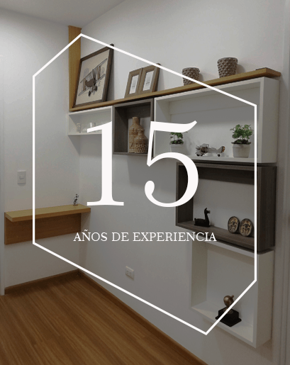 15 años de experiencia