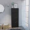 Zapatera Ereván Wengue, Mueble Organizador de Calzados