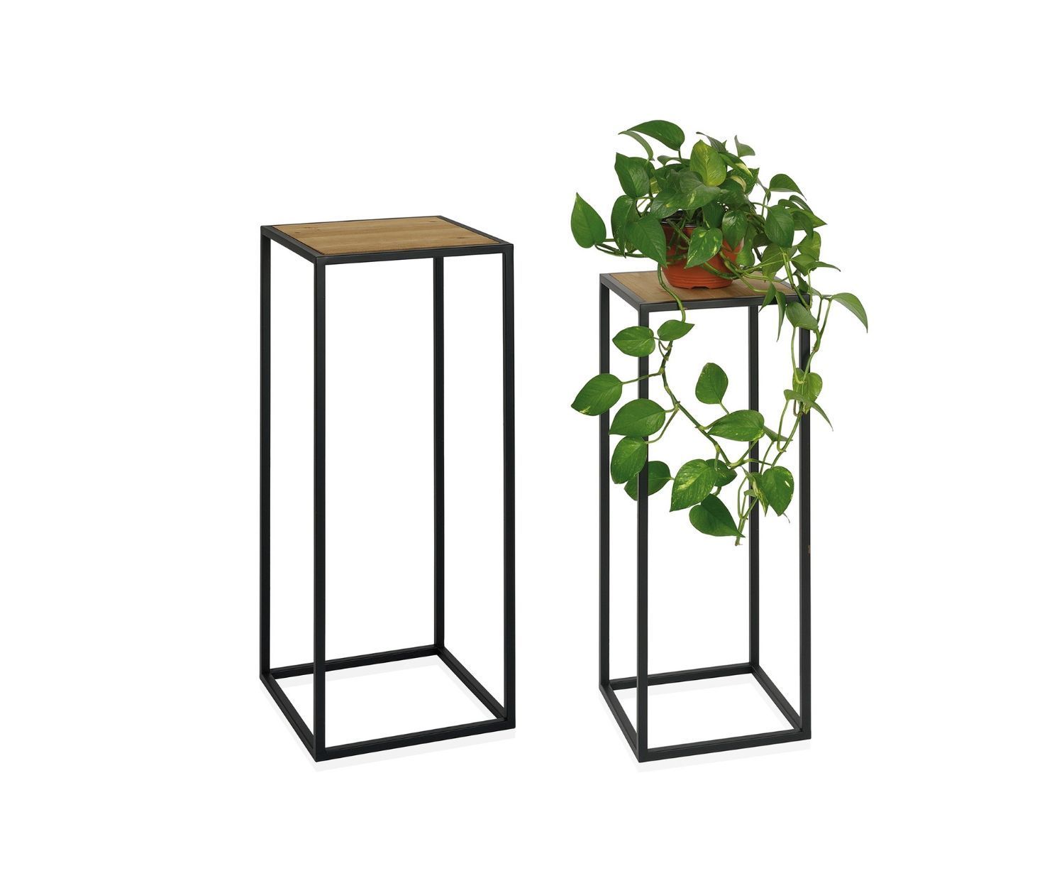 Porta maceta Hortensias Rectangular x 2 unidades